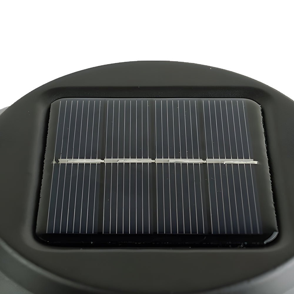 Lorvane Solar Path Light