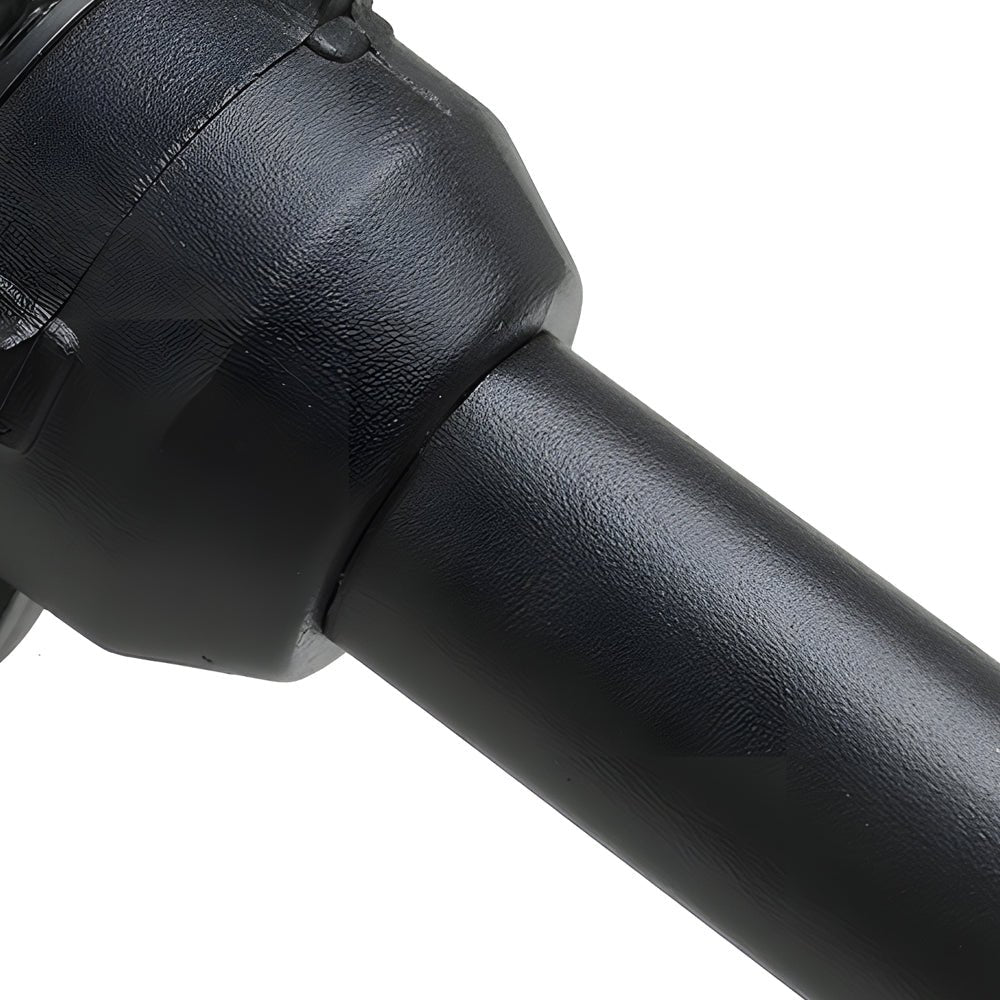 Lorvane Solar Path Light