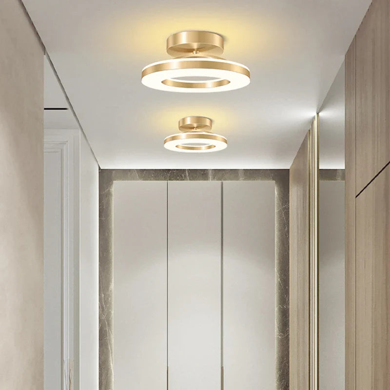 Liro Modern LED Flush Ceiling Light