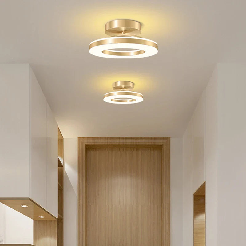 Liro Modern LED Flush Ceiling Light