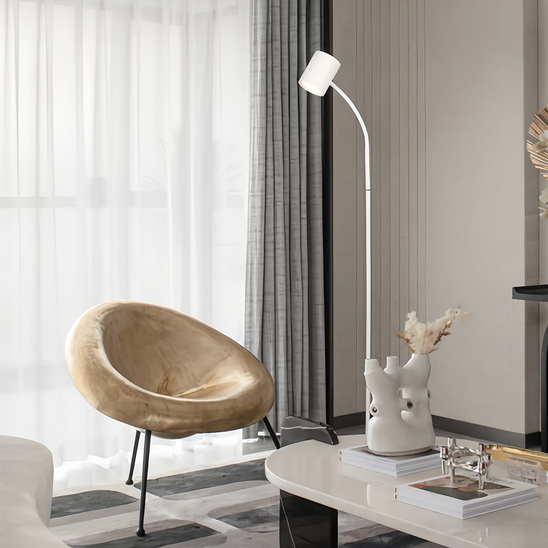 Revik Gooseneck Floor Lamp
