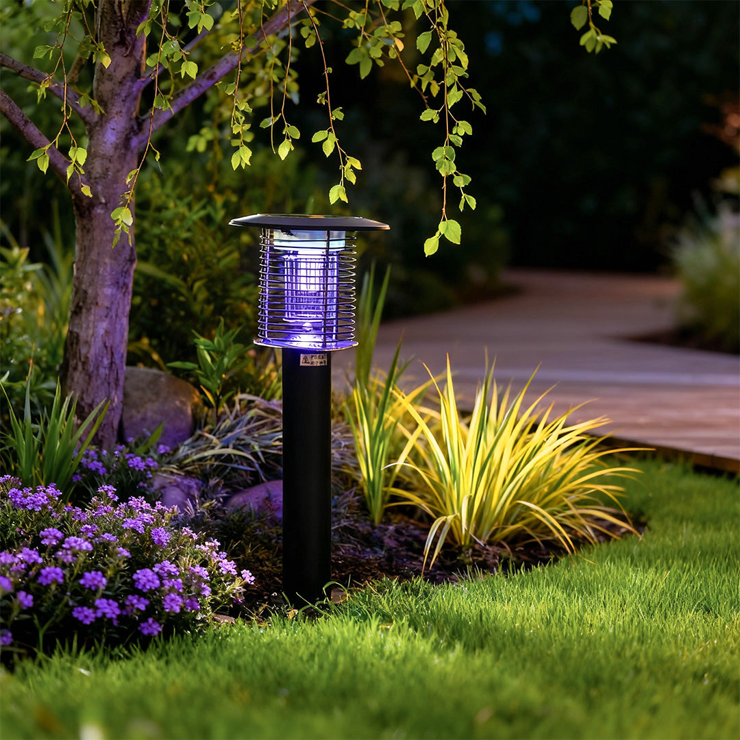 Outdoor Lighting